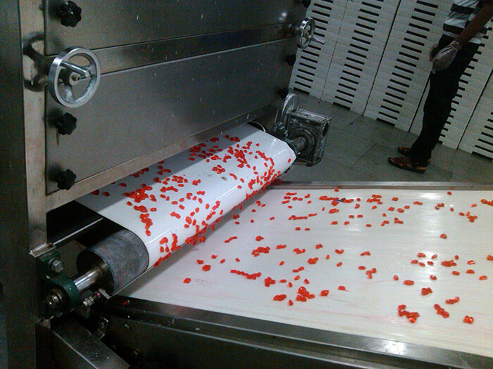 Gummy candy machine conveyor